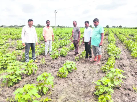 నానో 