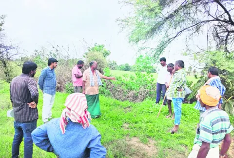 కాల్వ