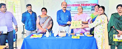 పుట్ట గొడుగుల పెంపకంపై శిక్షణ తరగతులు 