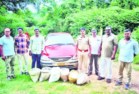 కారులో నాటుసారా రవాణా 