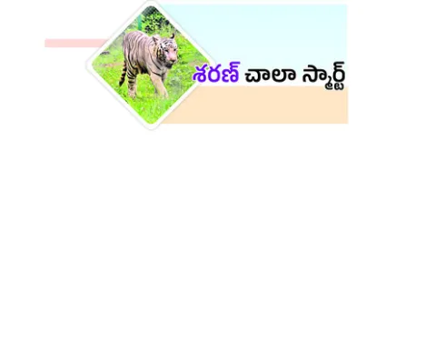 మంగళవ