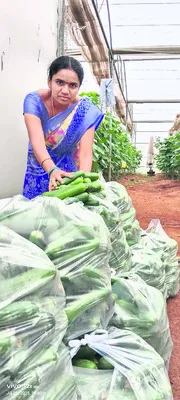 నవనీత