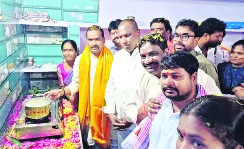 పాలు 