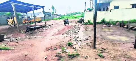 కాలిన
