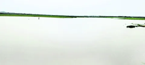 గోదావ