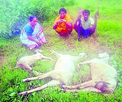 విద్య