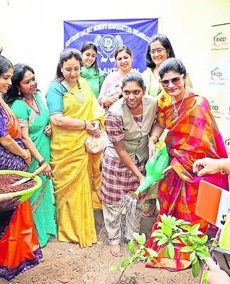 పచ్చదనం వైపు  అడుగులు వేద్దాం  