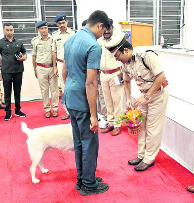 అలరిం