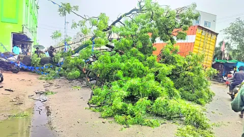 ‘సాంస్కృతిక’సలహాదారుగా అంజన్న