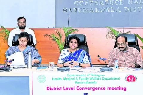 సీజనల్‌ వ్యాధులు ప్రబలకుండా చర్యలు తీసుకోవాలి
