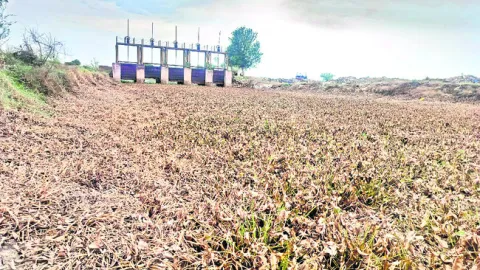 కూటమి విష ప్రయోగం 