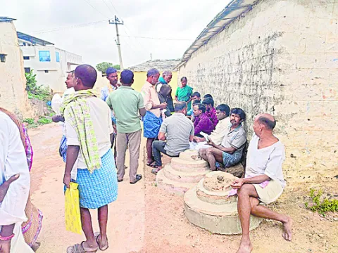 ఫార్మ