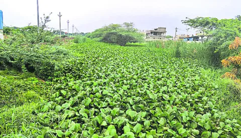 ఖరీఫ్‌లో ముంపు ముప్పు 