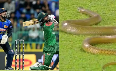 Snake Makes Appearance In Sri Lanka Vs Bangladesh 1st ODI7