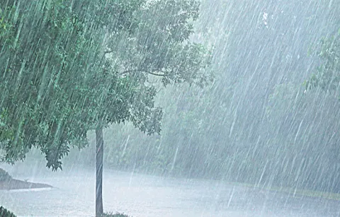 IMD releases rainfall forecasts for July
