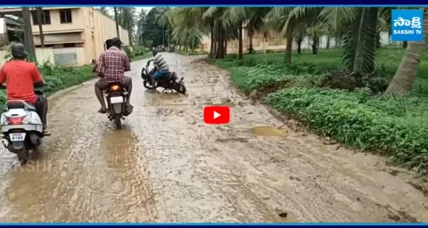 Public Protest in Palakollu roads on Minister Nimmala Ramanaidu Constituency10