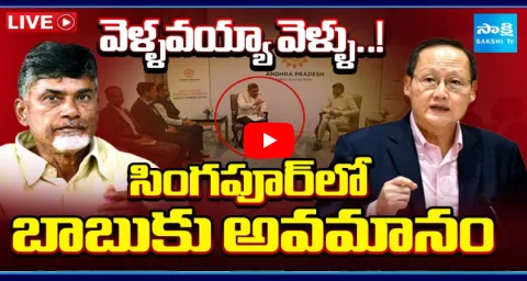 Singapore Minister Big Shock To CM Chandrababu 2