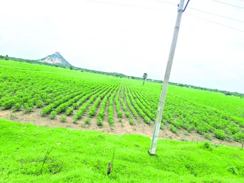 వర్షప