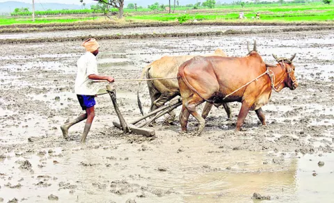 ఫసల్‌ బీమా.. రైతులకు ధీమా 