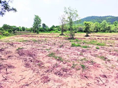 మళ్లీ రాజుకుంటున్న పోడు వివాదం