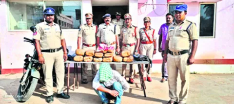 24 కిలోల గంజాయి పట్టివేత 