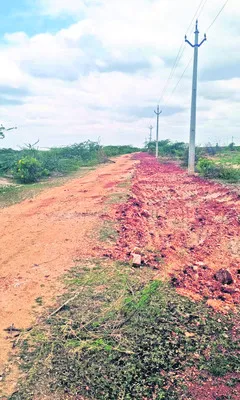 హవ్వ.