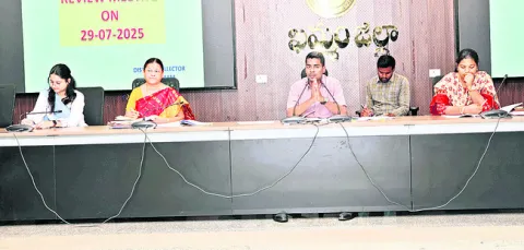 డెంగీ