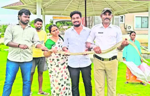 భారీ 