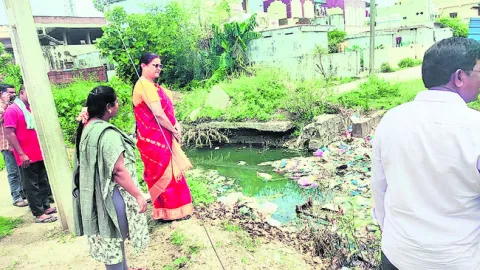 సీజనల్‌ వ్యాధుల కట్టడిపై దృష్టి