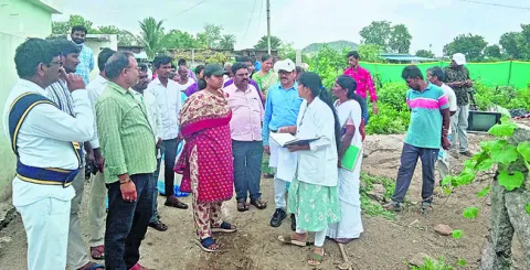 డెంగీ నివారణకు ప్రత్యేక చర్యలు