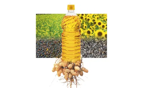 traditional crops declining in Telangana