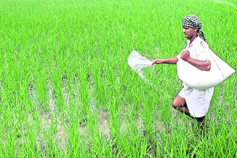 ఎరువుల సరఫరాపై పర్యవేక్షణ