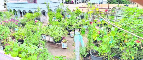 డాబాప