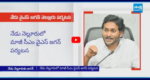 Chandrababu Govt Conspiracy On YS Jagan Nellore Tour 1