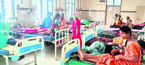 విజృం