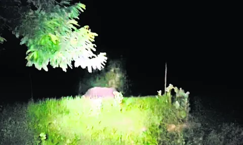 ఆగని 