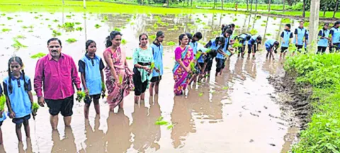 బడిలో పాఠాలు.. పొలంలో వరినాట్లు 