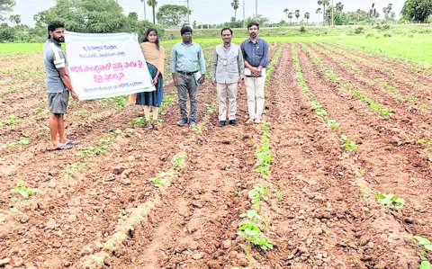 నాణ్యమైన ఉత్పత్తుల ఎగుమతితో అధిక లాభాలు