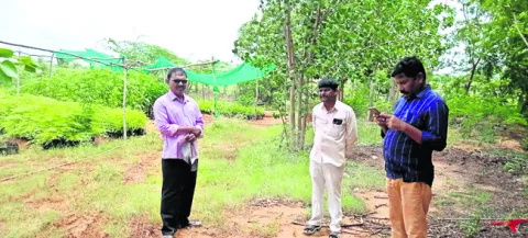 ‘లక్ష్యం మేరకు మొక్కలు నాటండి’