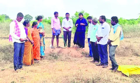 సేంద్
