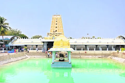 పీఠంపై వేట !