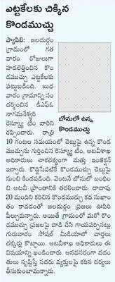 అహోబి