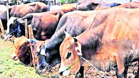 తగ్గి
