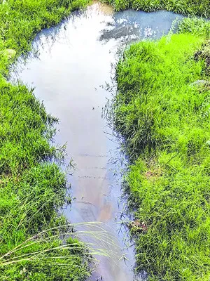 రైతులకు తీవ్ర నష్టం 