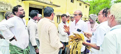 ‘నల్లబర్లీ’ పూర్తిగా కొనాల్సిందే..!