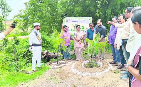 మొక్కలతోనే పర్యావరణ సంరక్షణ