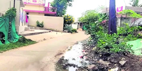 దోమలప