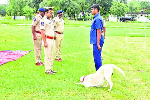 కమిషనరేట్‌ను జాతీయస్థాయిలో నిలపాలి