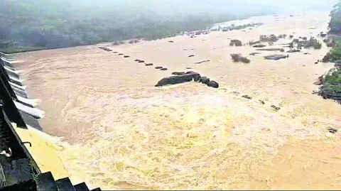 భయపెడ