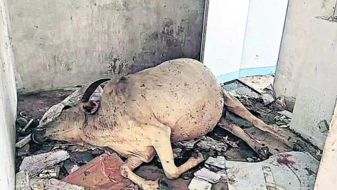 పాపం 